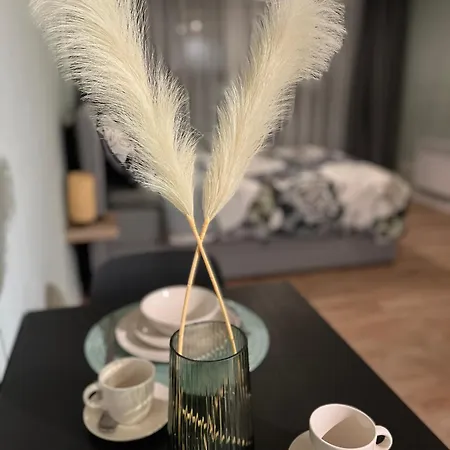 Mani Apartment *