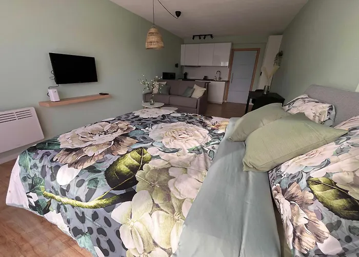 Apartment Mani Ostende